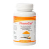 PhenoCur